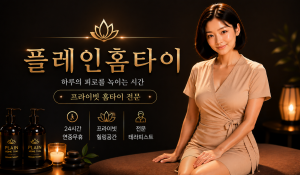 플레인홈타이