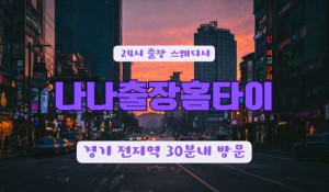 나나출장홈타이