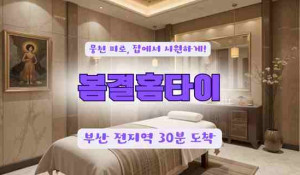 봄결홈타이