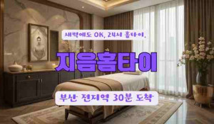 지음홈타이