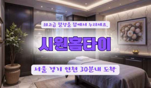 안양시원홈타이