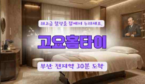 고요홈타이