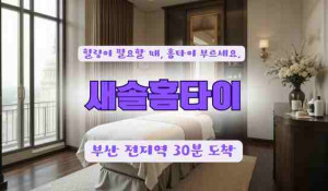 해온가홈타이