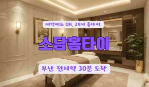 소담홈타이