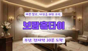 보람홈타이