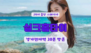 실크홈타이