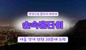 숲속홈타이