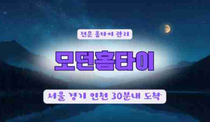 모던홈타이