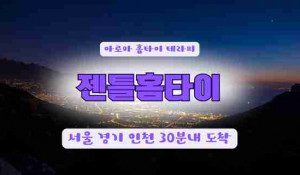 젠틀홈타이