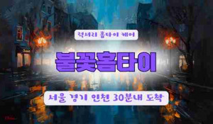 불꽃홈타이