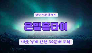 은밀홈타이