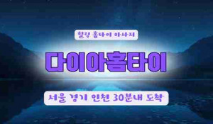 다이아홈타이