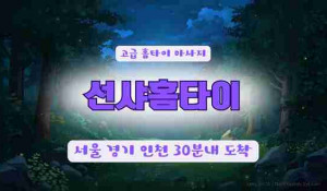 선샤홈타이