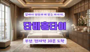 단비홈타이