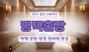 평택고덕홈타이