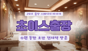 수원초이스힐러