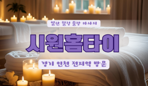 흥도힐러홈타이