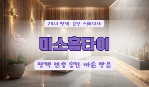 평택용이미소홈타이