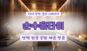 평택순수홈타이