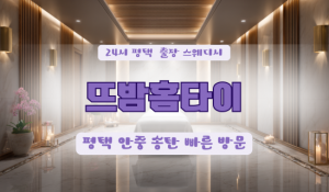 평택지제뜨밤홈타이