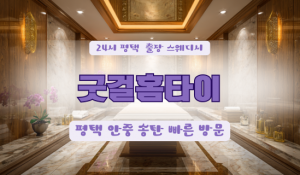 평택지산굿걸홈타이