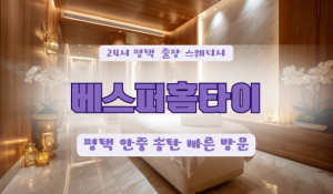 평택서정베스퍼홈타이