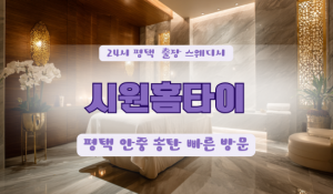 평택합정시원홈타이
