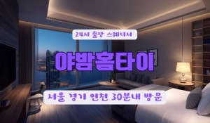 야밤홈타이