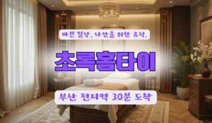 초록홈타이