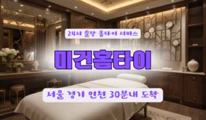 미건홈타이이