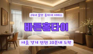 바른홈타이