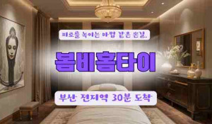 봄비홈타이