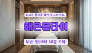 해온홈타이