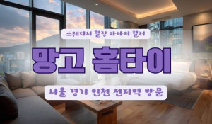 망고출장홈타이