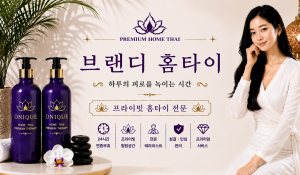 브랜디홈타이