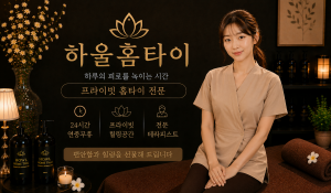 하울홈타이