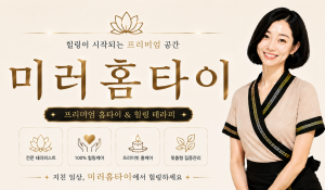 미러홈타이