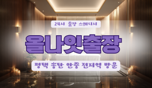 평택올나잇홈타이