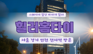 수청힐러홈타이