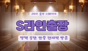 S라인홈타이