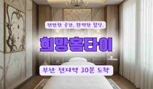 희망홈타이