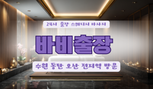 수원바비홈타이