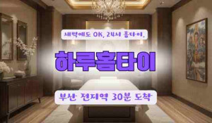 하루홈타이
