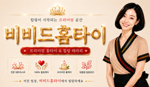 비비드홈타이