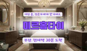미르홈타이