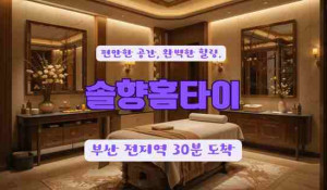 솔향홈타이