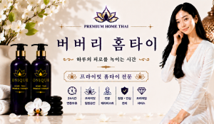 버버리홈타이
