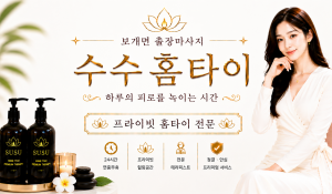 수수홈타이