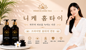 니케홈타이