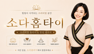 소다홈타이
